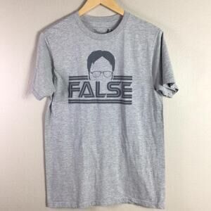 The Office Dwight Schrute False T Shirt Gray Black Medium